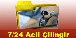 Çiçekli oto çilingir
